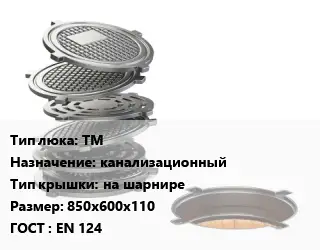 Люк чугунный ТМ канализационный на шарнире 850х600х110 ГОСТ: EN 124